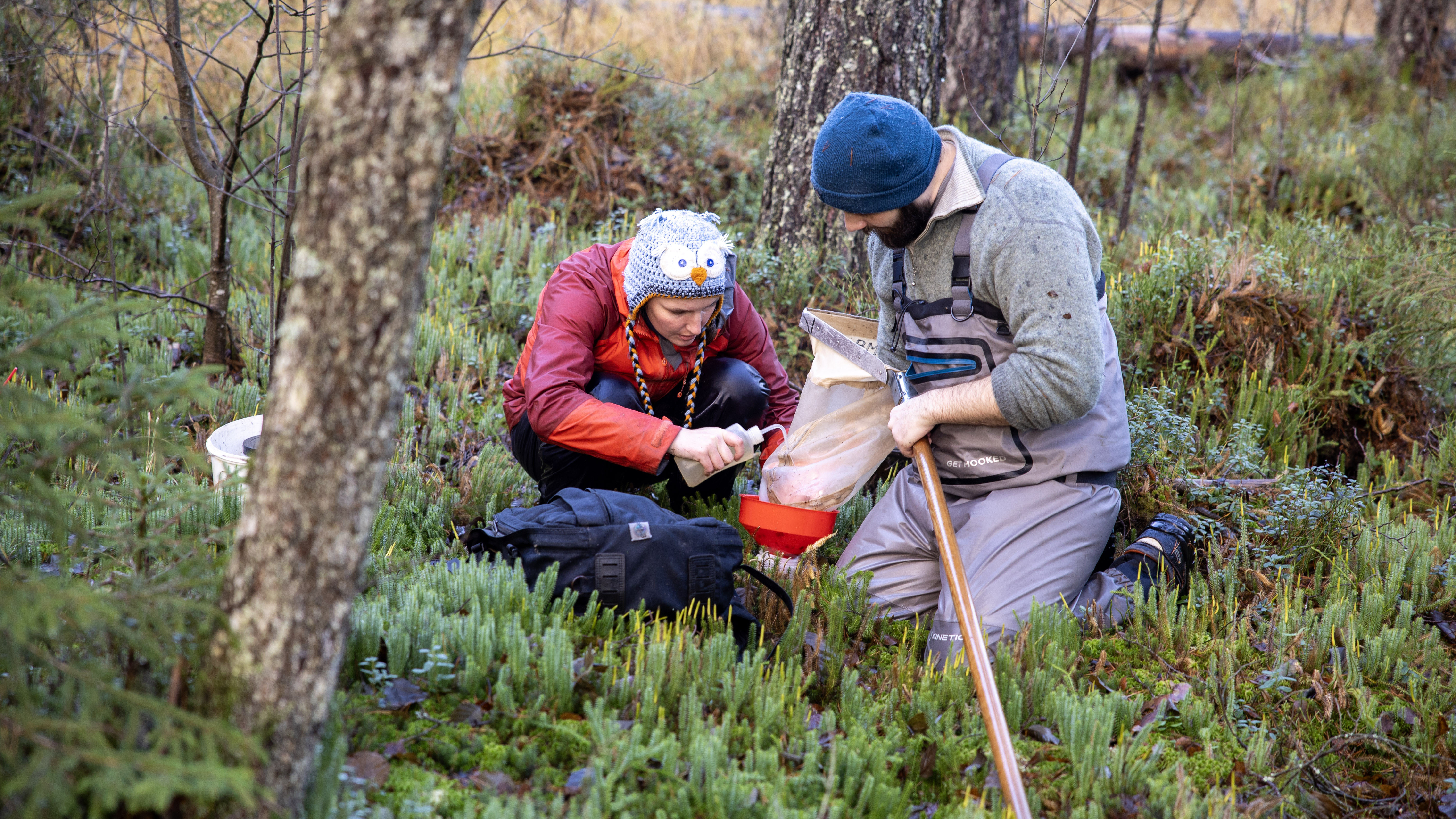 Two people are sitting in the moss under the trees and working with a net. Photo.