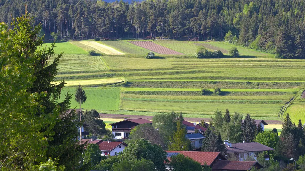 Ett österrikiskt jordbrukslandskap med åkrar på bergssluttningar. Foto