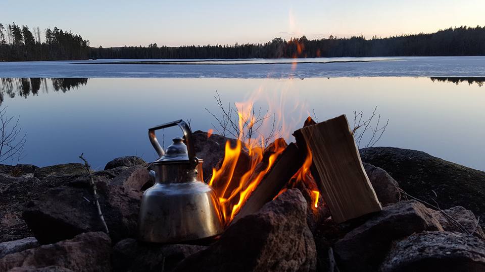 Foto: Skog och vatten. Stefan Israels, 2022.