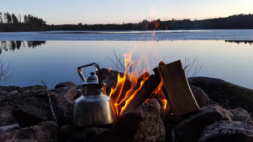 Foto: Skog och vatten. Stefan Israels, 2022.