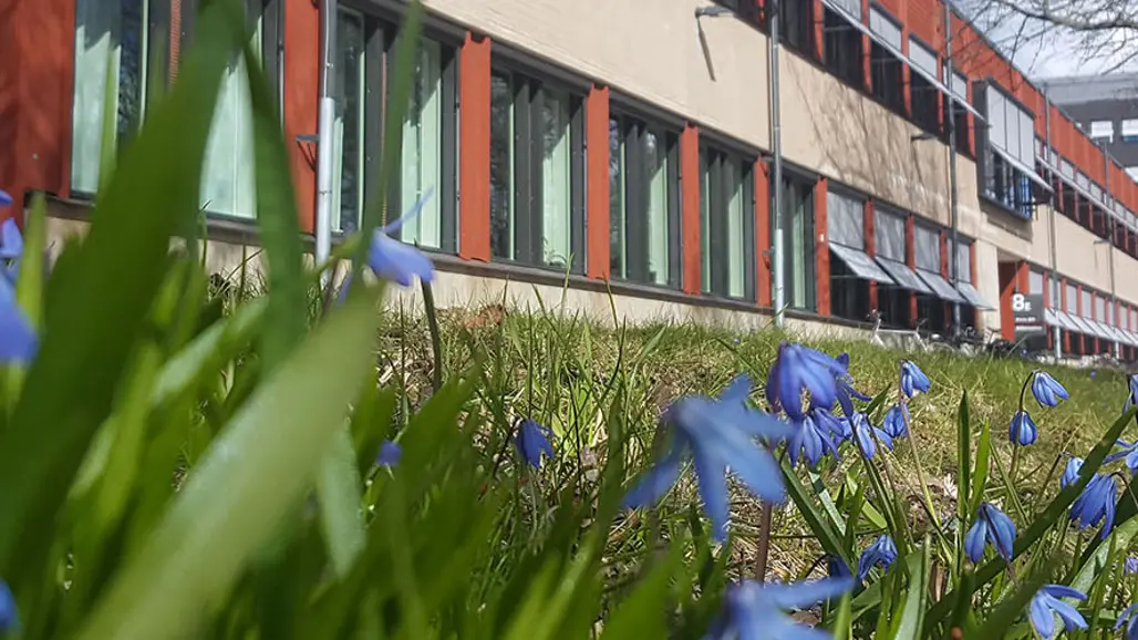 Part of a long, gray and red office building with blue flowers in the foreground. Photo