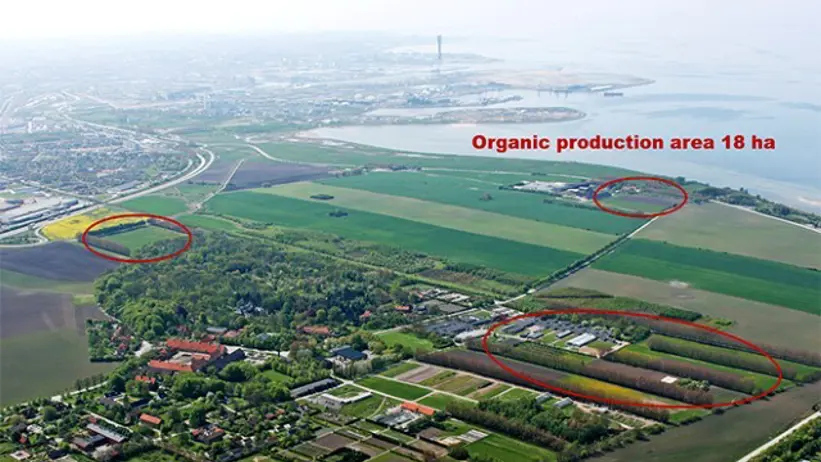 Ekologiskt produktionsområde