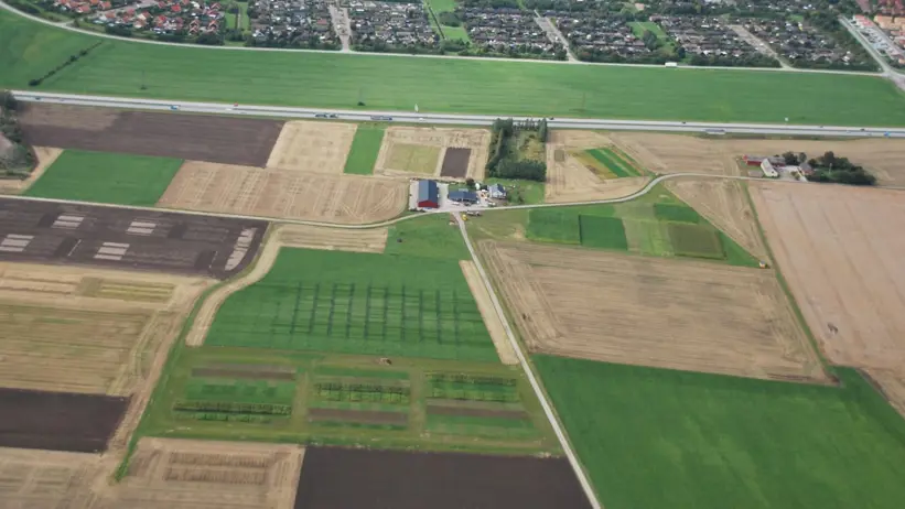 Konventionell produktionsyta 60 ha