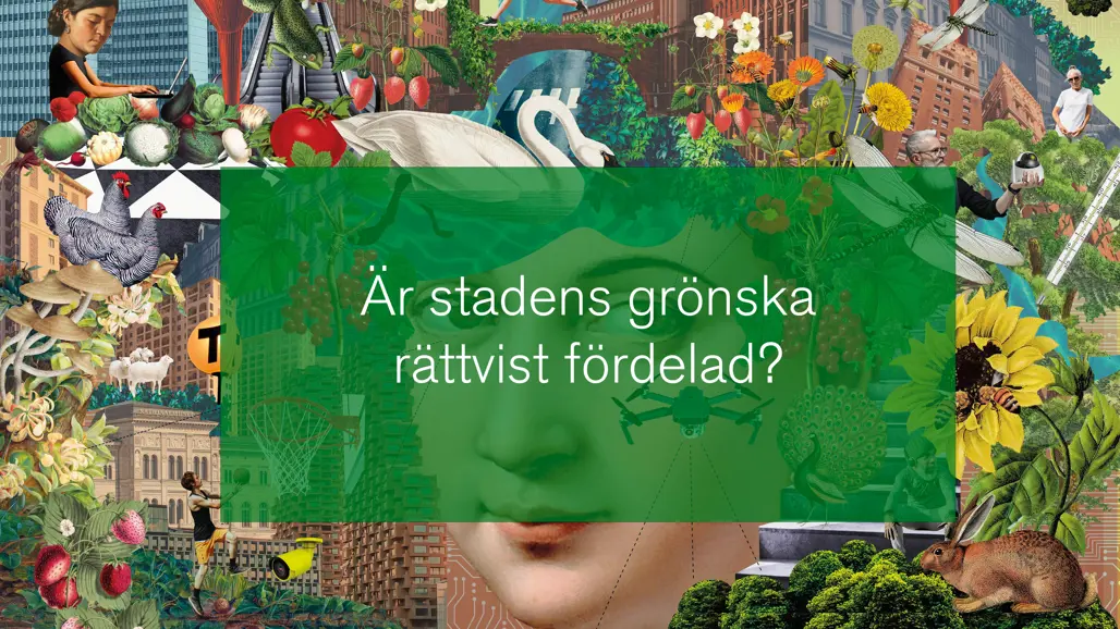 Vignette image from the webinar.