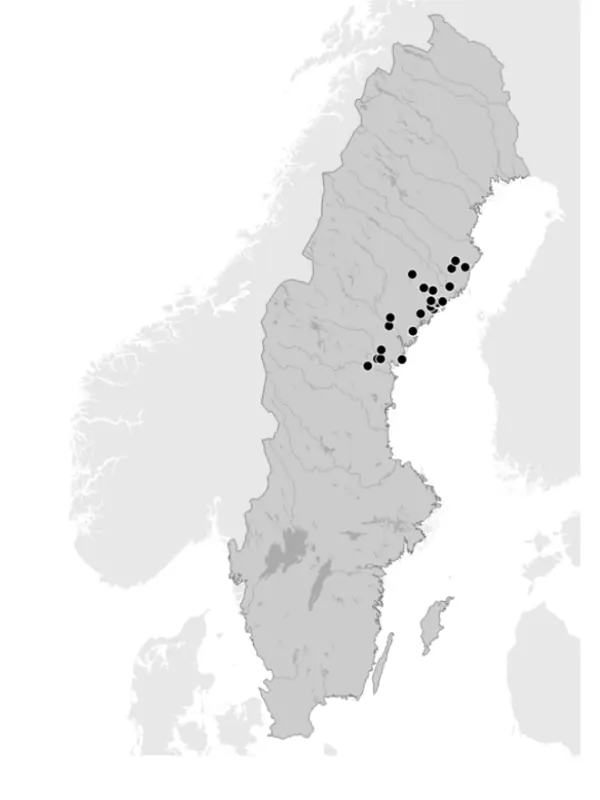 Map of Sweden showing 22 dots marking the rivers where trout populations were studied.