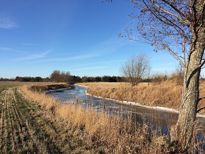 Stream in an agricultural landscape
