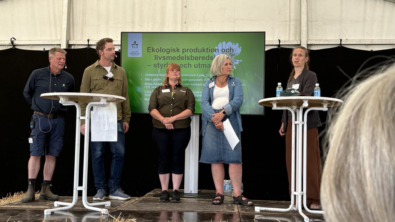 Fem personer på en scen under Borgeby fältdagar. Foto.