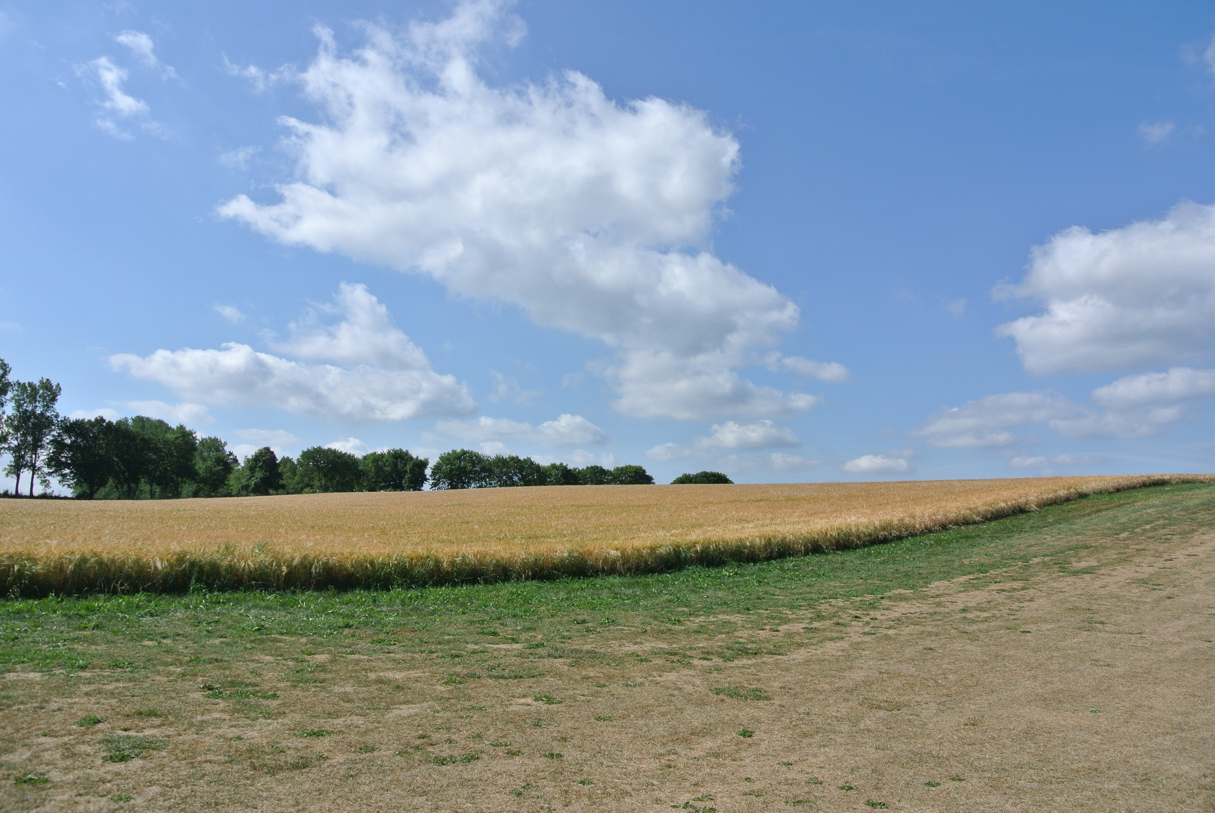 Landskap i Skåne (Bild: Institutionen för stad och land)
