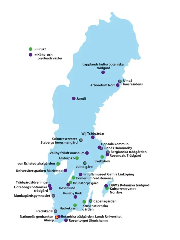På en Sverige-karta finns klonarkiven för frukt samt köks- och prydnadsväxter utprickade. Klonarkiven är spridda över landet.