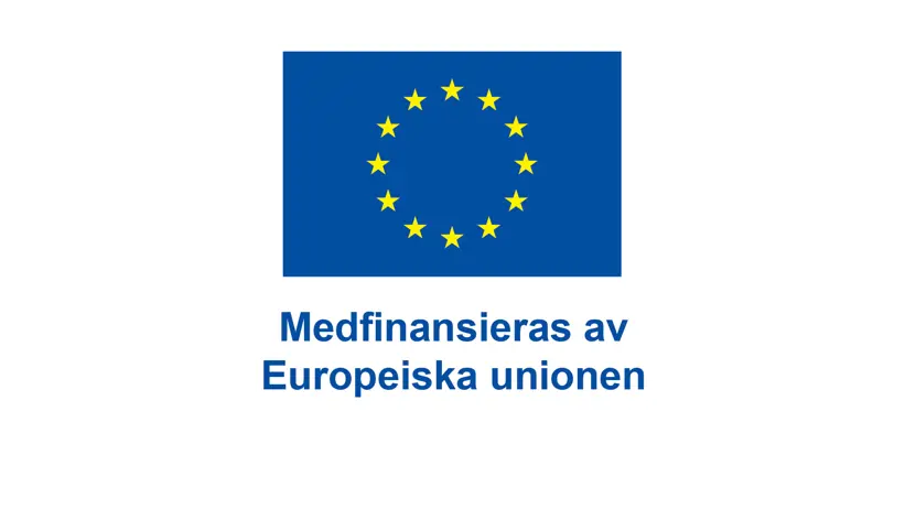 EU flagga, blå botten med gula stjärnor i cirkel