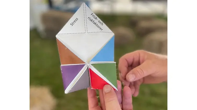 Loppan, lek med vikt papper, olika alternativa val