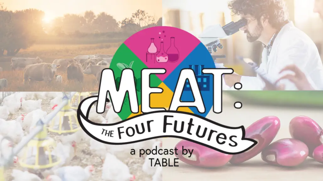 Logobild för podden Meat: the Four Futures. Illustrationer och foto.
