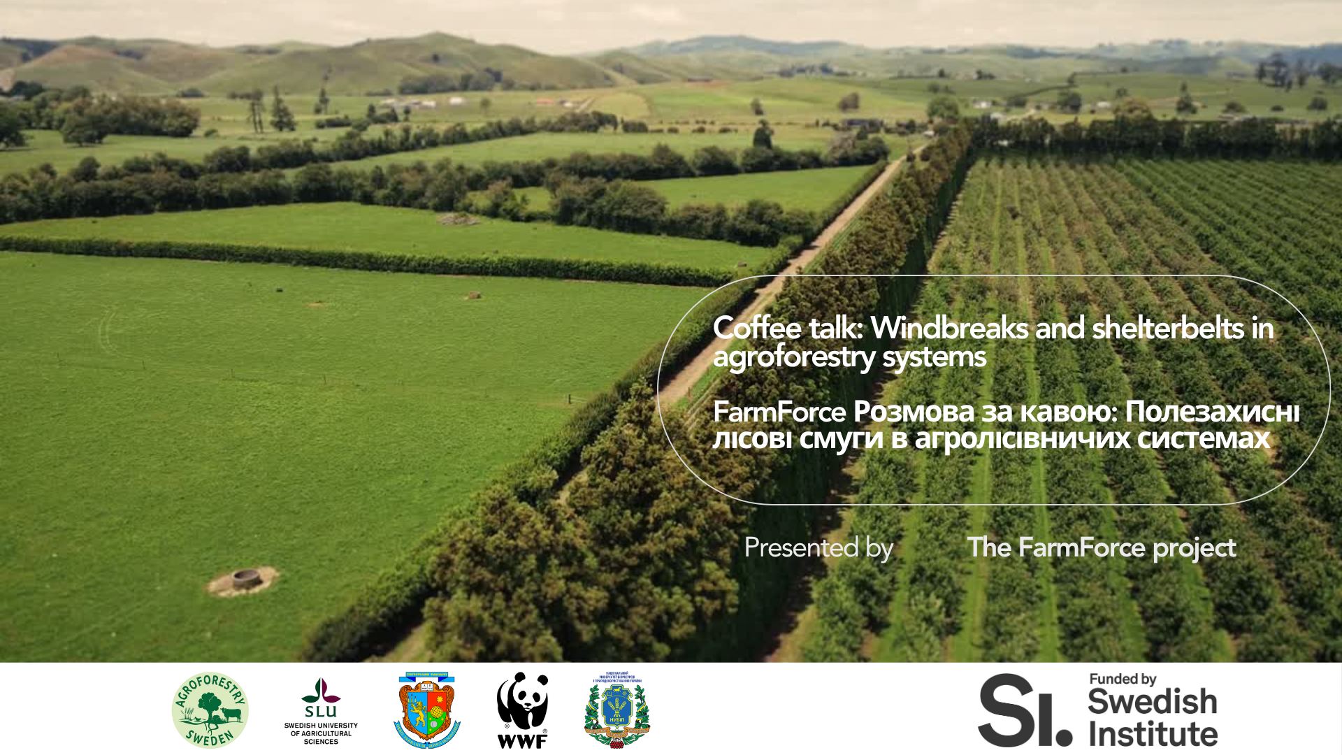 A photo showing windbreaks in farming system