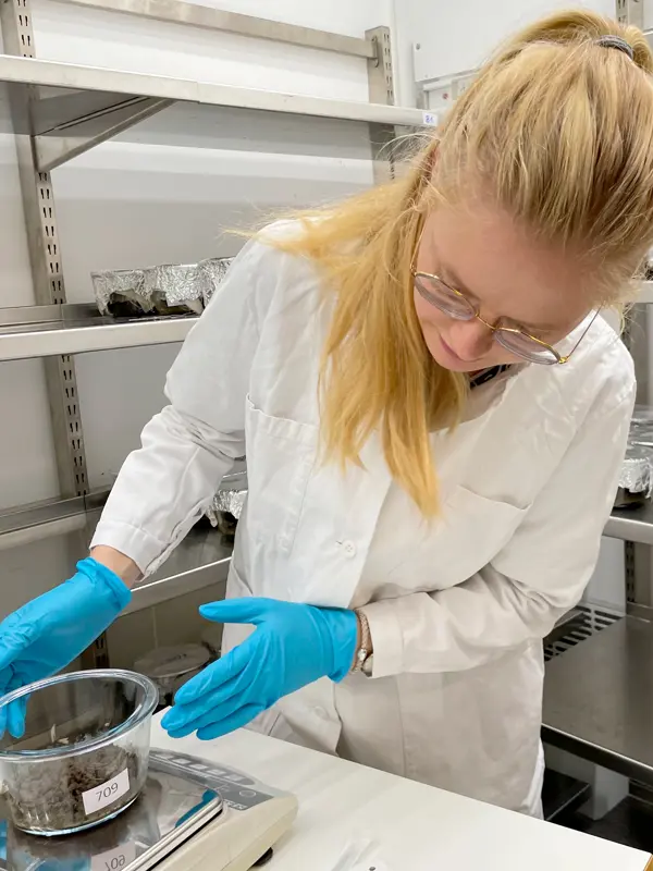 A woman in a lab coat weighs a bowl of soil. Photo.