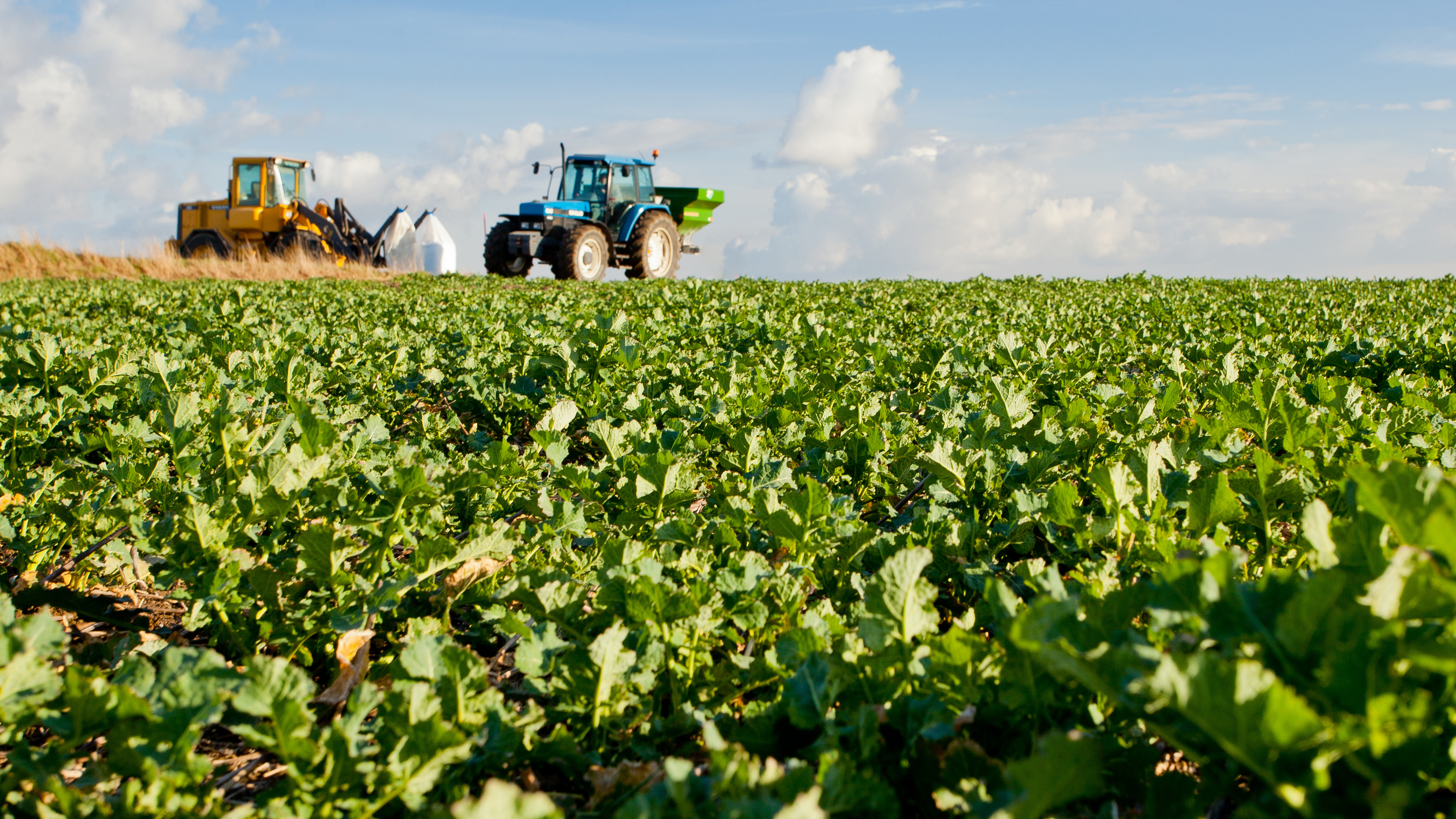 En jordbruksmaskin kör på en åker. Blå himmel med moln i bakgrunden.