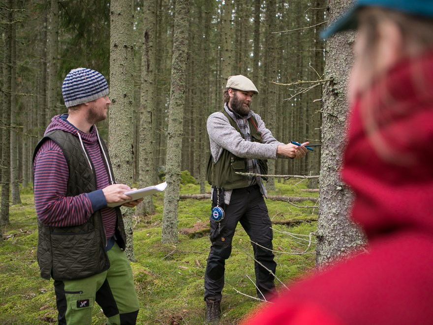 Three students in the woods in Skinnskatteberg. Photo