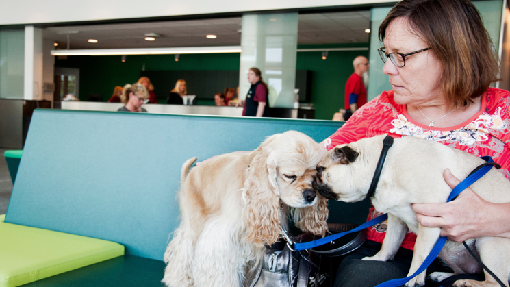 Woman wearing a red sweater and glasses sitting on a green sofa. In the woman's lap are two dogs with light fur. In the background, several people are seen standing up.