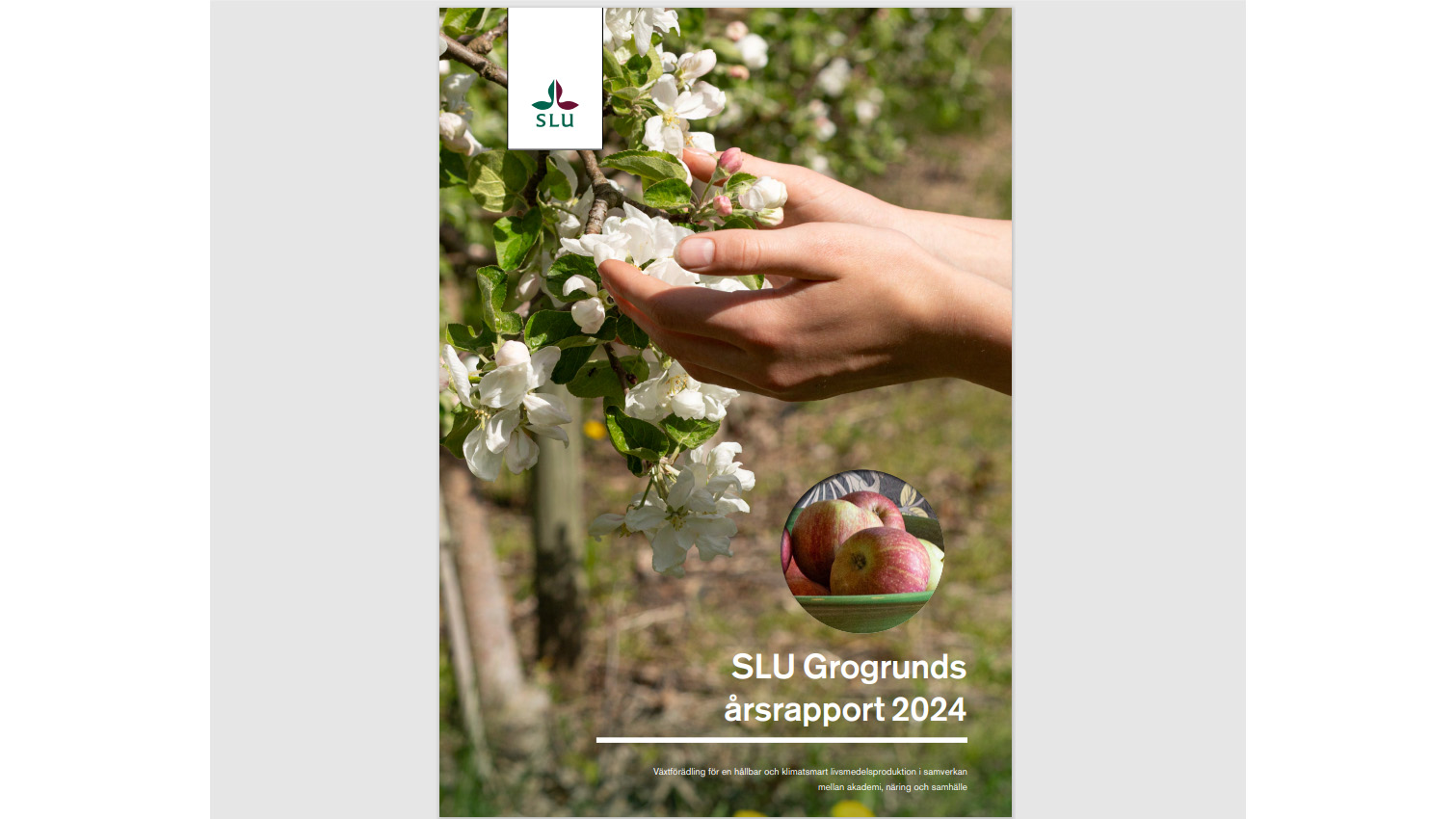 Picture of the frontpage of SLU Grogrund´s annual report.