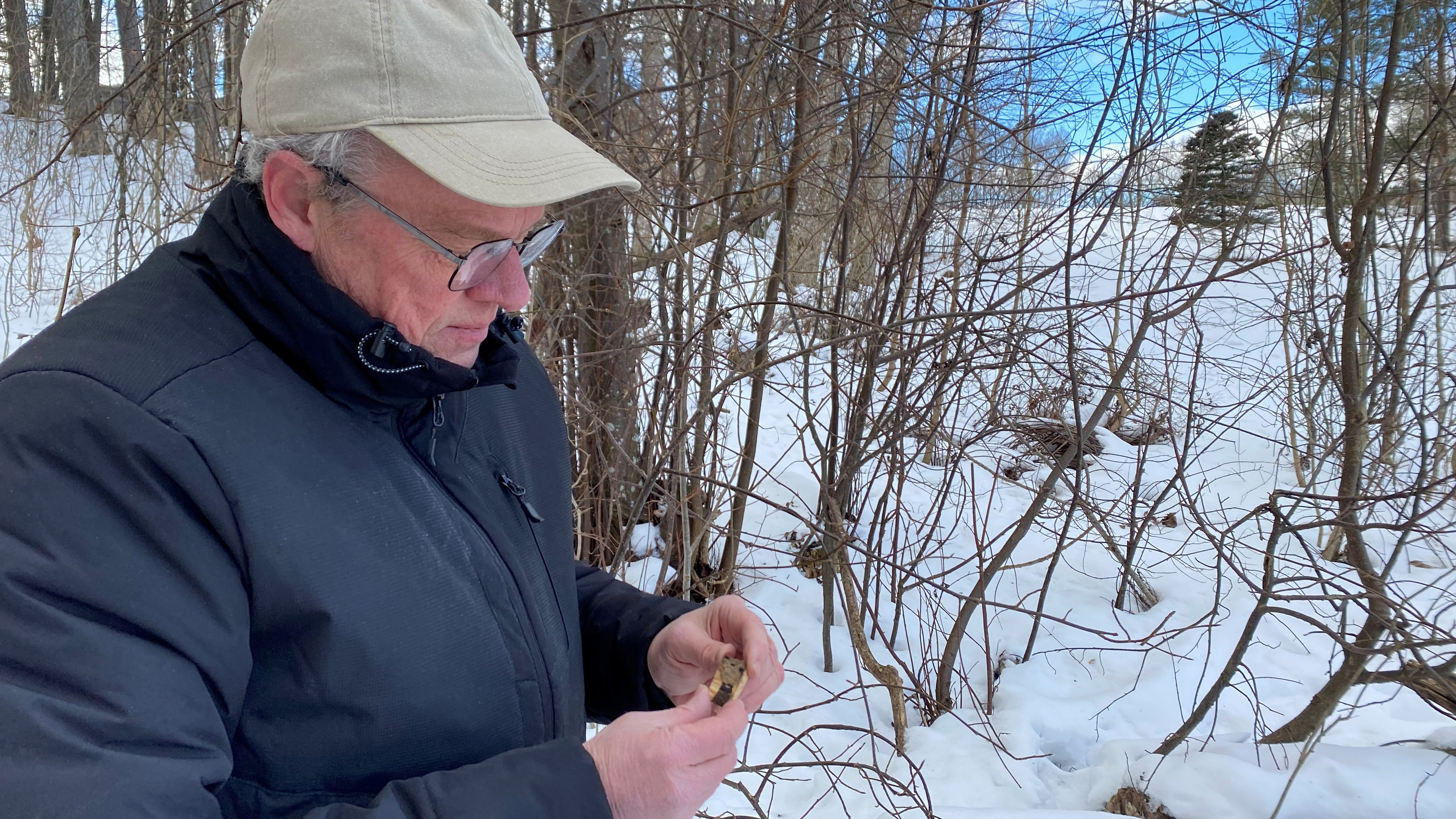 Man med beige keps och blå täckjacka i snötäckt skog studerar trädbit. Foto