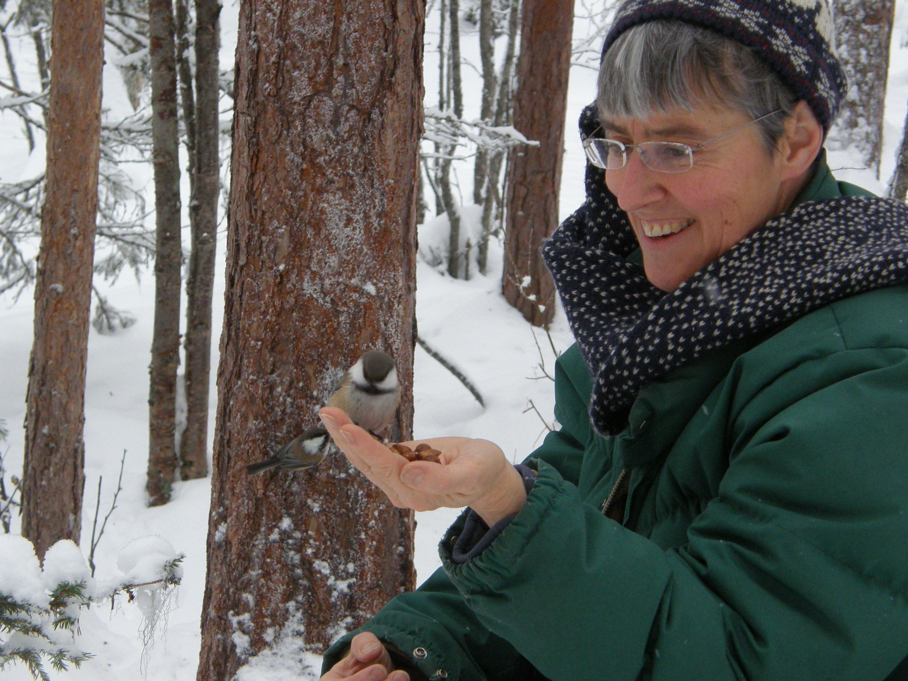 Person i vintermiljö som står bland snötäckta träd i en skog. Personen bär glasögon, en grön jacka och en mörk halsduk med ljusa prickar. På den utsträckta handen sitter en liten fågel med grå rygg, ljus undersida och mörk hjässa.