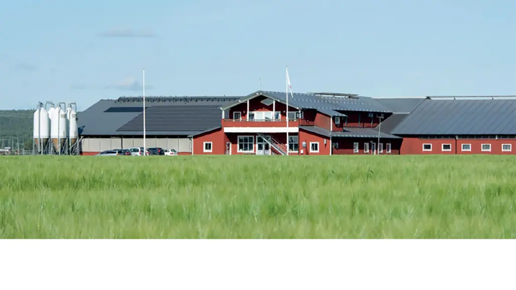 Röbäcksdalens forskningsladugård.