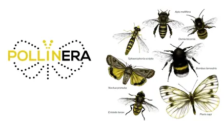 Logo of the PollinERA project