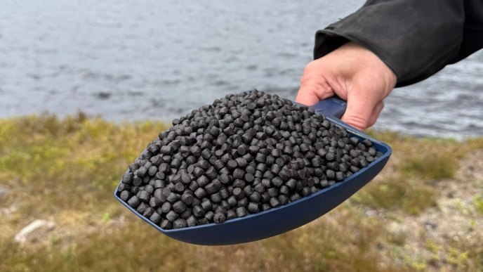 A hand holds a blue bucket of fish food outdoors. In the background is water and some grass.