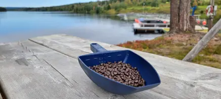 The feed of the future