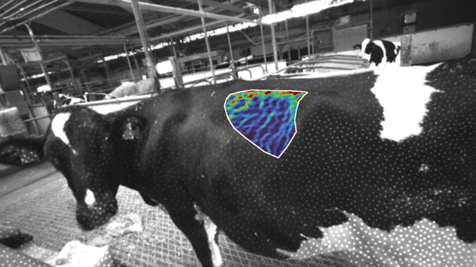 Cow Rumen Sensor Rumen Fill, 3D Computer vision and proactive cow health | slu.se