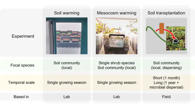 A combination of lab and field observations were used to investigate the effects of warming above and below ground. Figure: Kohsuke Tanigawa, SLU.