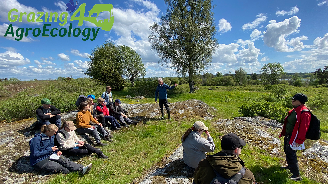 En person föreläser för en grupp studenter i en beteshage. Foto.