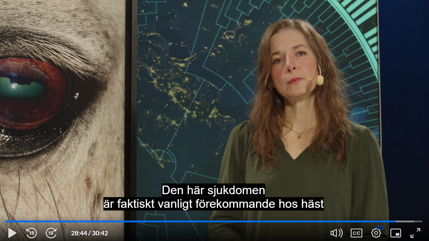 Skärmdump av en kvinna (Lena Ström, SLU) som föreläser om hästar.