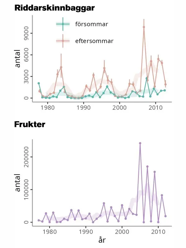 Grafer som visar hur antalet riddarskinnbaggar och frön varierat över åren.