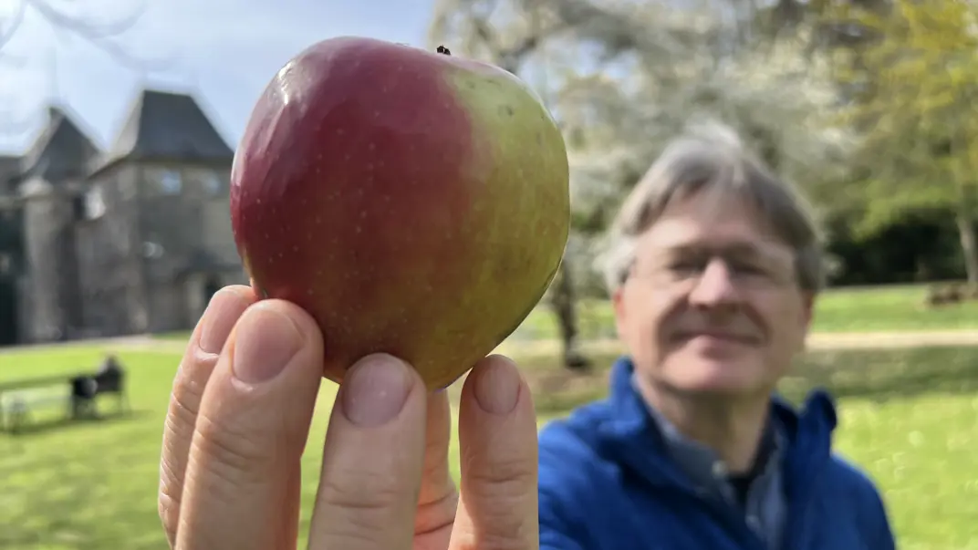 Ett äpple visas upp av en man