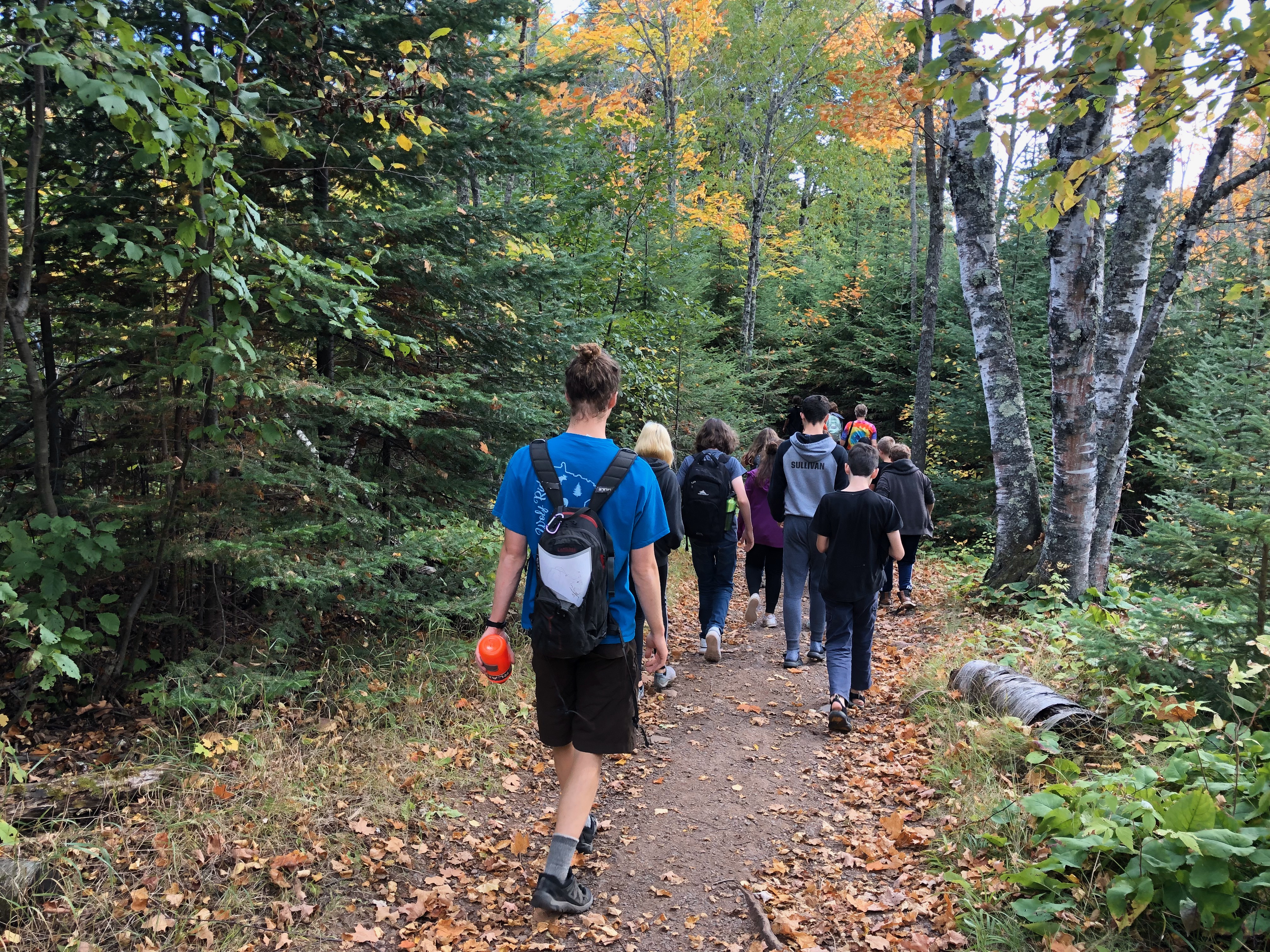 Personer går i skogen