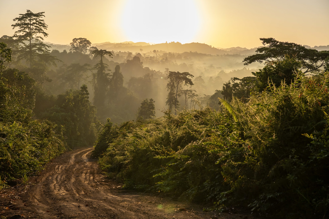 Sunset over the rainforest