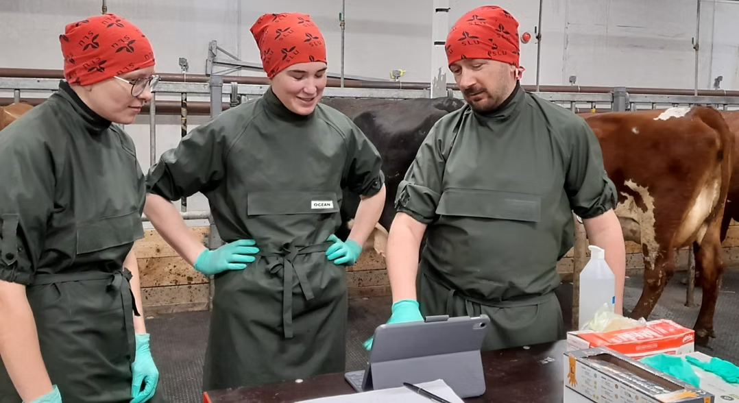 Undervisning av lantbrukets djur