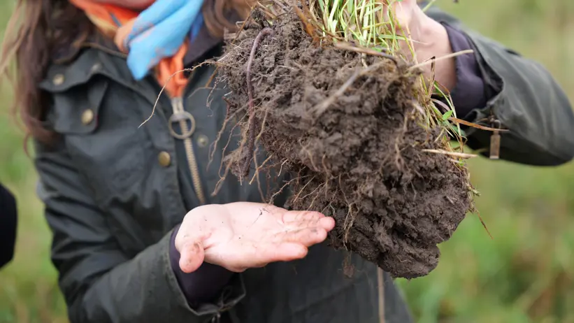 Woman digs up a clump of soil. Photo: Revolve