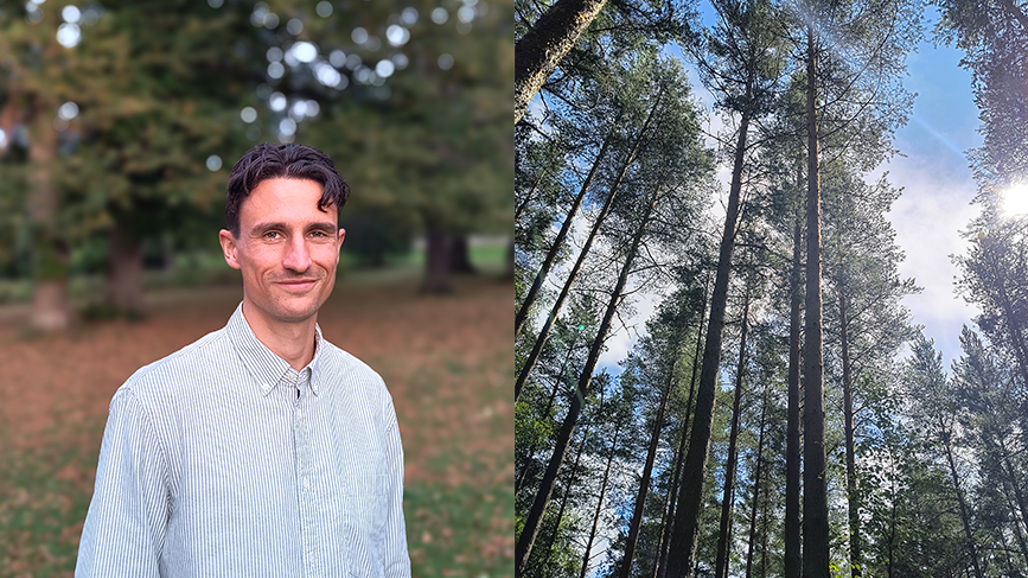 Porträttfoto av Maximilian Schulte och ett foto av träd underifrån