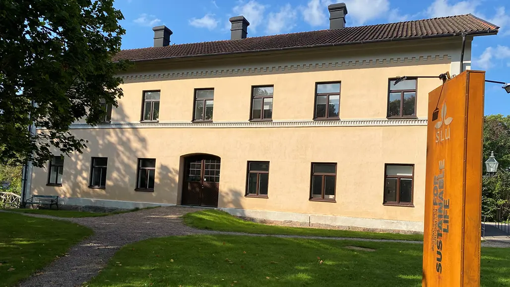 Sandfärgat putsat hus med SLU-skylt framför
