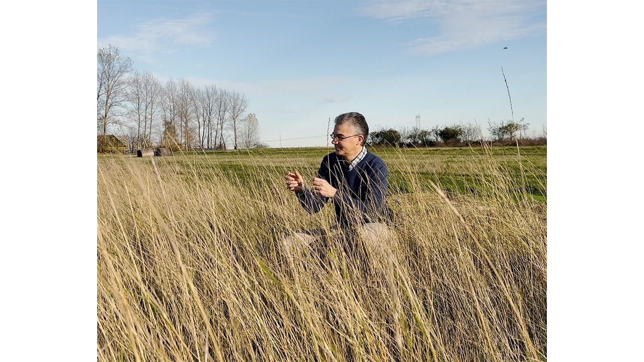 En man sitter på ett fält och tittar på stråsäd som han håller i.