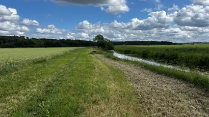 En jordbruksbäck bredvid en åker