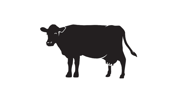 Illustration in black color depicting a cow, with a white background.