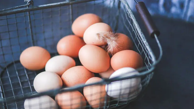 Ägg i en metallkorg. Foto.