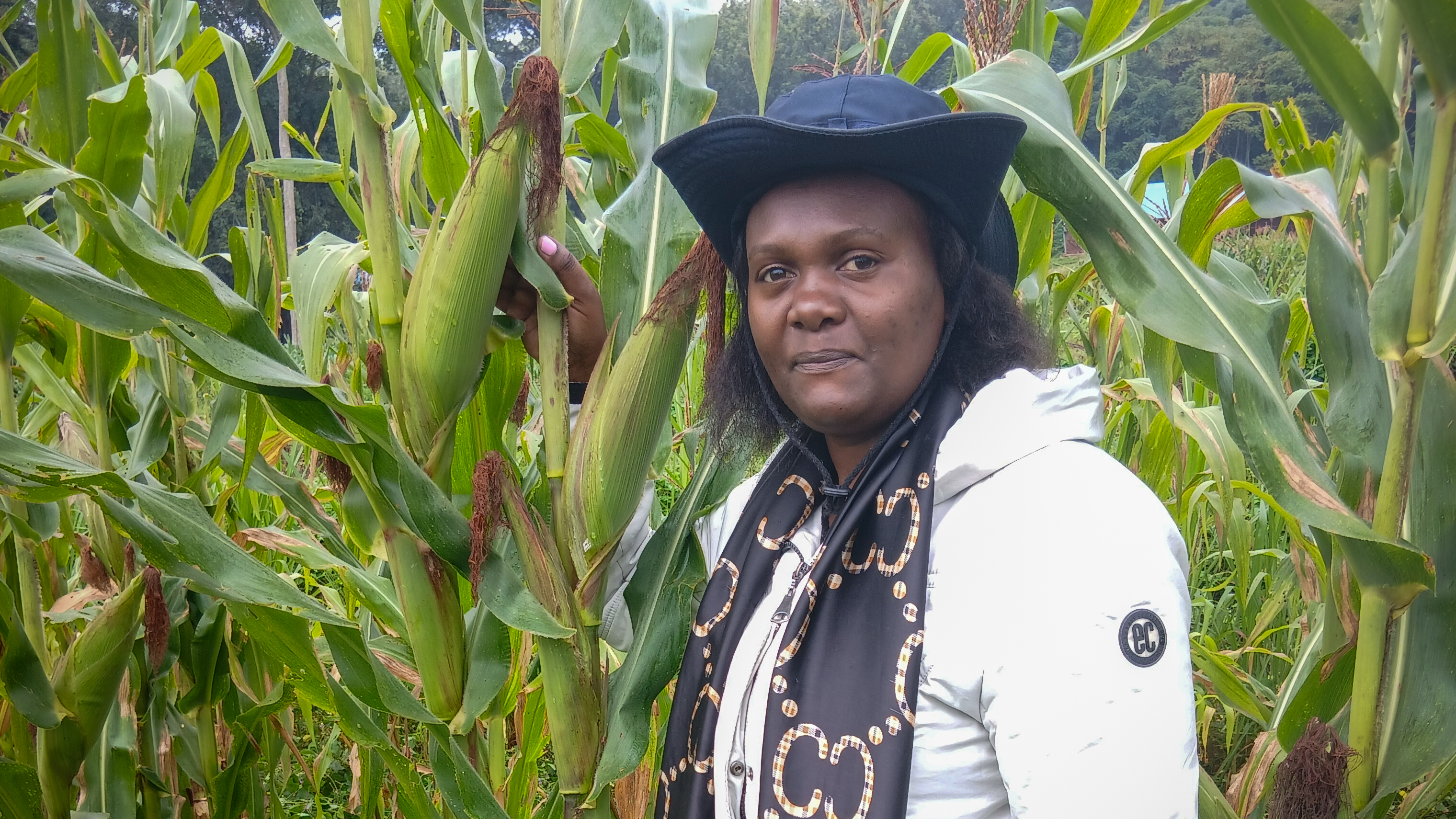 En kvinna i ett majsfält. Foto.