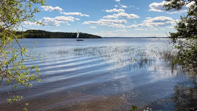 Segelbåt i sjö. Foto.
