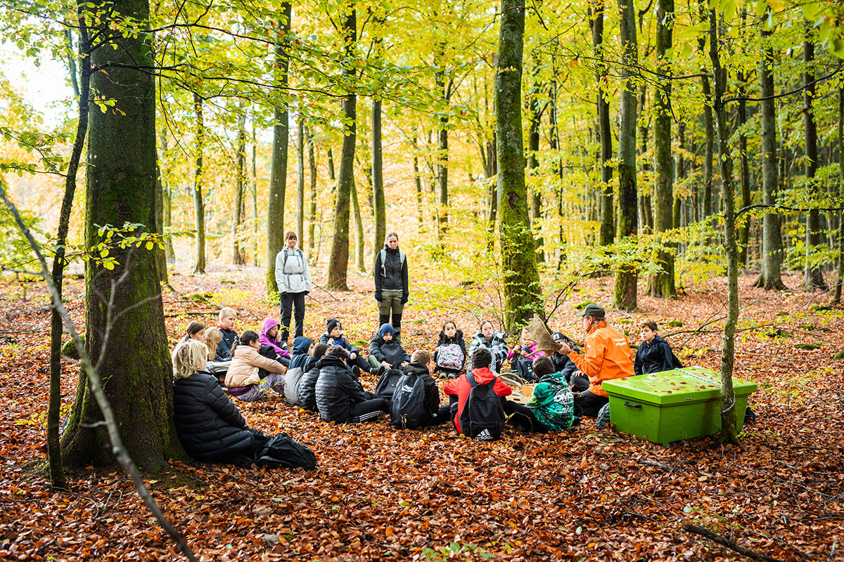 Femteklassare på Skåneleden