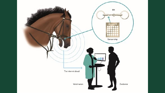 Tecknat kollage föreställande en häst med ridutrustning, ett bett (munutrustning för häst) och ett forskarlag.