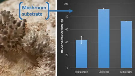Mushroom substrate