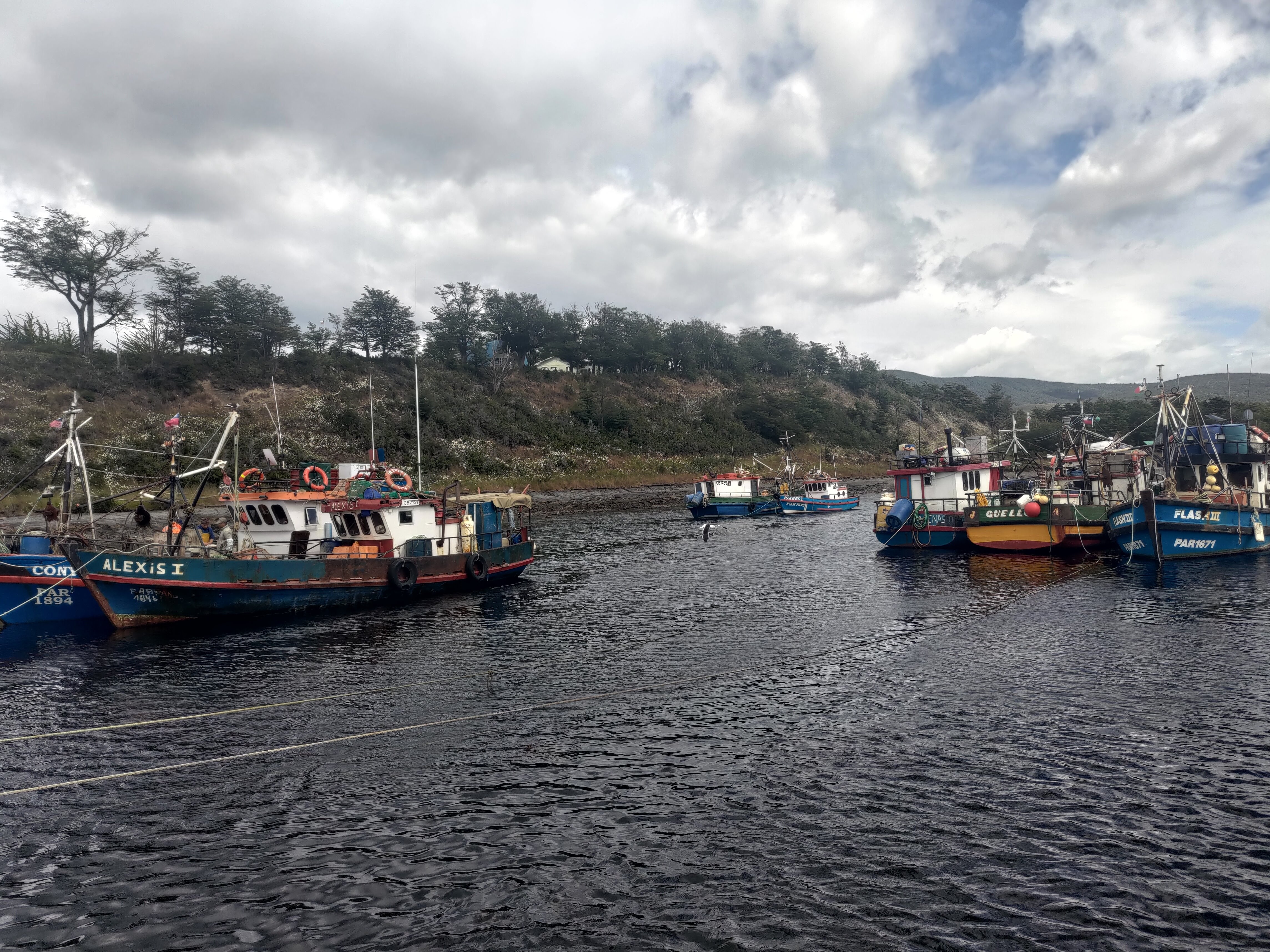 Colourful fishing boats moored in a small harbour.